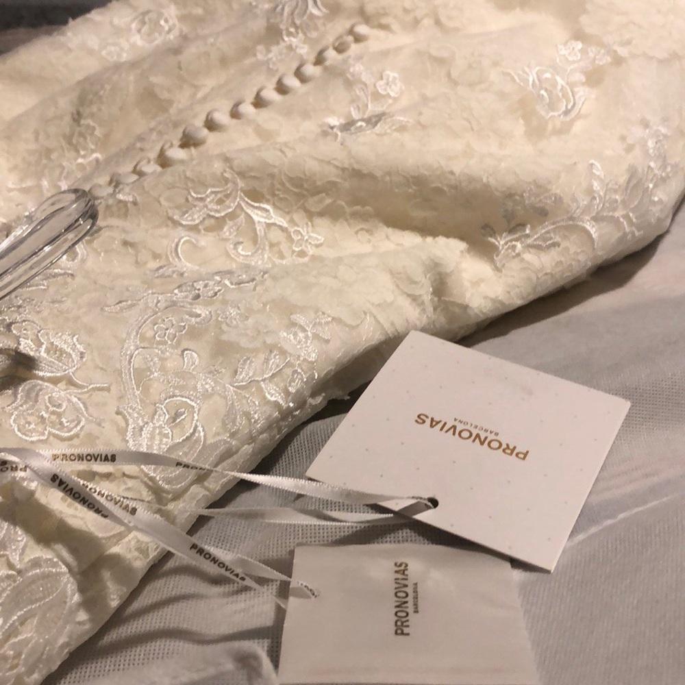 Princia Pronovias Tulle and Lace Wedding Dress